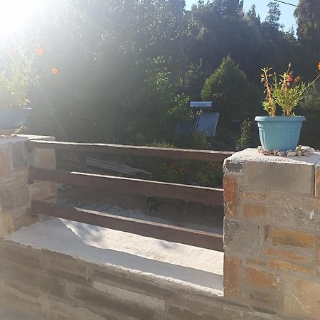 Apartments Spiros Pelion Kalamaki  Номер фото