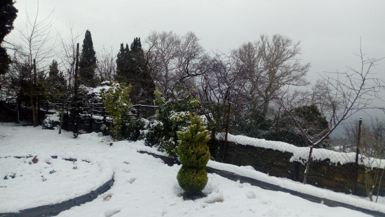 Apartments Spiros Pelion Kalamaki  Екстер'єр фото